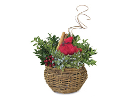 Birds Nest Basket