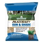 Black Beauty (John.Green) Sun/shade 3 lb.