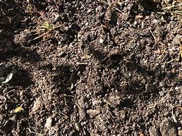 COMPOST TOP SOIL MIX