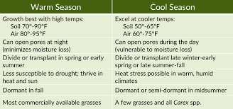 Cool Season Grass Recommendations