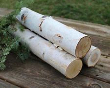 Birch Logs