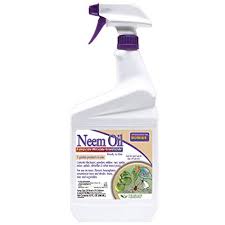 Neem Oil Insecticide/ OT/Ready to use Bonide