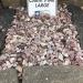 Carnation Pink Stone/50lb./1-8 PRICE