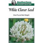 Clover White Seed 1lb.