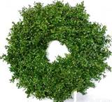 Wreath/Boxwood (28-30