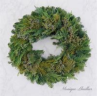 Wreath/Juniper/Berried/20-24